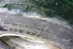 Колесо комплектом (шина+диск)   315/70 R22,5 (ЗимаЛето)
