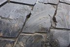 Колесо комплектом (шина+диск)  Kama NR202 315/70  R22,5 () EJ0  ET0 Ц.О.0