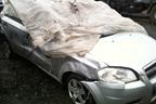 Поступил в разбор Chevrolet Aveo 2011 1.4 МКПП 101л.с