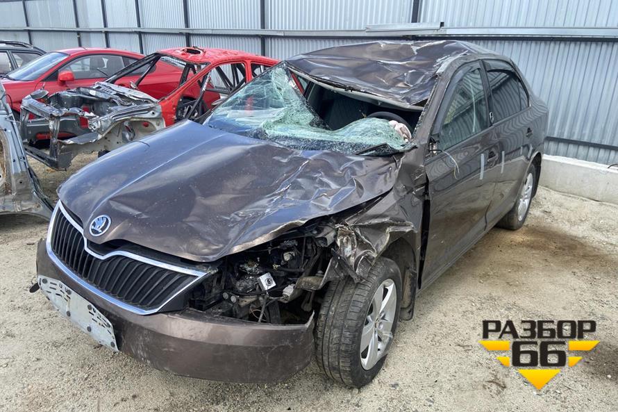 Поступил в разбор Skoda Rapid 2019г 1.6л 90л.с двс CWV