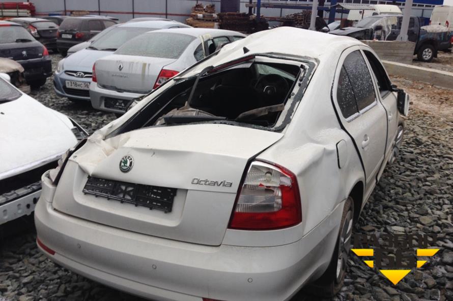 Поступил в разбор Skoda Octavia A5 2010 1.6 (МКПП)