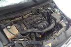 Поступил в разбор Ford Focus 2 2007 1.6 МКПП 100л.с