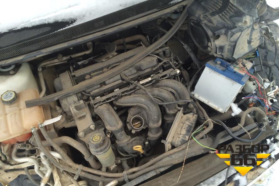 Поступил в разбор Ford Focus  2010 1.6 100л.с  МКПП двс SHDA