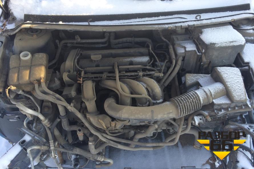 Поступил в разбор Ford Focus 2006 1.6 100л.с  МКПП двс HWDB