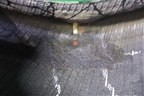 Шина GoodYear Excellence 101W 255/45 R20 (Лето)