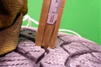 Шина Bridgestone Blizzak Spike-01 91T 205/55 R16 (Зима)