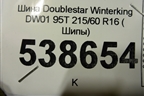 Шина Doublestar Winterking DW01 95T 215/60 R16 ( Шипы)