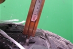 Шина Doublestar Winterking DW01 95T 215/60 R16 ( Шипы)