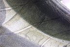 Шина Michelin X-Ice North 4 SUV 115T 315/40 R21 ( Шипы)