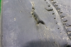 Шина Michelin XTA2 Energy 245/70 R17,5 (ЗимаЛето)