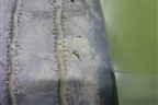 Шина Michelin XTA2 Energy 245/70 R17,5 (ЗимаЛето)