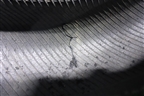 Шина Continental Vanco 2 107/105R 195/75 R16 (Лето)