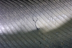 Шина Continental Vanco 2 107/105R 195/75 R16 (Лето)
