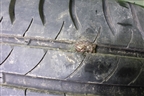 Шина  215/55 R16 (Лето) (MichelinEnergySaver) (MICHELINENERGYSAVER)
