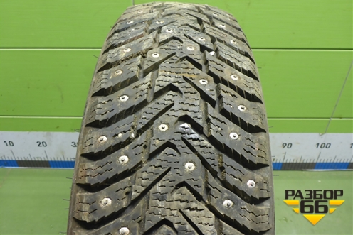 Шина  175/70 R14 (Зима Шипы) (NokianNordman8) (NOKIANNORDMAN8)