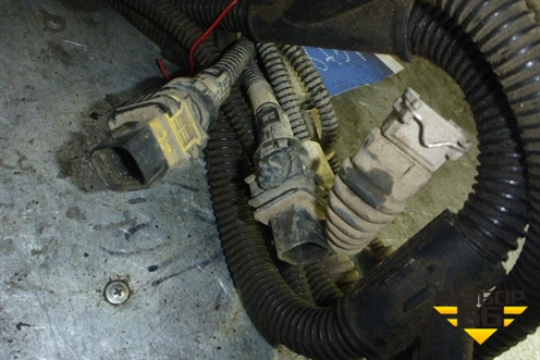 Проводка (насоса системы AD BLUE) для DAF  XF 105 с 2005г