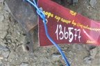 Опора амортизатора переднего левого верхняя (под пневмо) (81436403213) для MAN  TGA 4-Series  с 2000-2008г