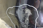 Бампер задний для Volkswagen Touareg c 2002-2010г