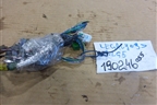 Проводка двери задней левой для Subaru Legacy Outback (BP9) с 2003-2009г