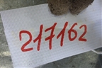 Проводка двери задней правой для Peugeot 307 с 2001-2007г
