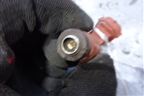 Форсунка инжекторная электрическая (1.8л) (166009M600) для Nissan Almera N16 с 2000-2006г