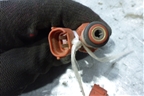 Форсунка инжекторная электрическая (1.5л) (166009F600) для Nissan Almera N16 с 2000-2006г