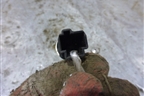 Кнопка открывания багажника для Ford Fiesta с 2001-2008г