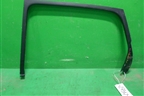 Накладка двери задней левой (на рамку) (8200167198) для Renault Scenic с 2003-2009г
