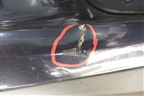Бампер передний (под парктроник и омыватели) (51117294480) для BMW X5 F15 с 2013г