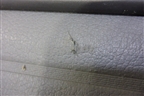 Шторка багажника (1T0867871AC) для Volkswagen Touran с 2003-2010г