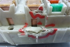 Блок предохранителей подкапотный (3.0л V6 1MZ АКПП) для Toyota Camry CV3 с 2001-2006г