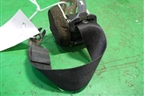 Ремень безопасности задний правый (4M51A611B68A) для Ford Focus 2 с 2005-2008г
