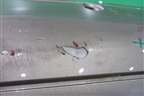 Бампер задний (под парктроник) (A1698850925) для Mercedes Benz A140/160 W169 с 2004-2012г