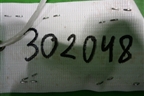 Полка багажника (8794RX) для Peugeot 207 с 2006-2015г