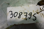 Цепь ГРМ (1.2л A9JA 8v) для Ford Fiesta с 2001-2008г