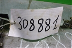 Головка блока цилиндров (1.2л L12A1 в сборе) для Honda FIT (GD) c 2001-2007г