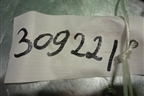 Датчик AIR BAG (правый) (9646768980) для Citroen C4 с 2005-2011г