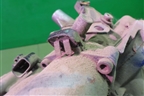МКПП (роботизированная 1.6л пробег 134 т.км 1ZR-FE) для Toyota Auris с 2006-2012г