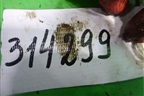 Поршень с шатуном (2.0л TDI CLJ 140 л.с.) для Volkswagen Tiguan с 2007-2011г