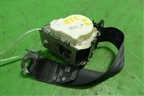 Ремень безопасности задний правый (BM51611B68AE) для Ford Focus 3 с 2011г