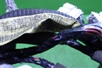 Проводка двери передней левой (32751SEAG022) для Honda Accord(CL-CM) с 2003-2007г