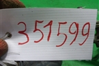Трапеция стеклоочистителей (9650380780) для Peugeot 207 с 2006-2015г