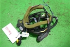 Проводка двери задней правой (1V90B03HE) для Infiniti Infiniti QX56/QX80 (Z62) с 2010г