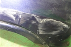 Бампер задний (под парктроник) (60U807421B) для Skoda Rapid с 2013г