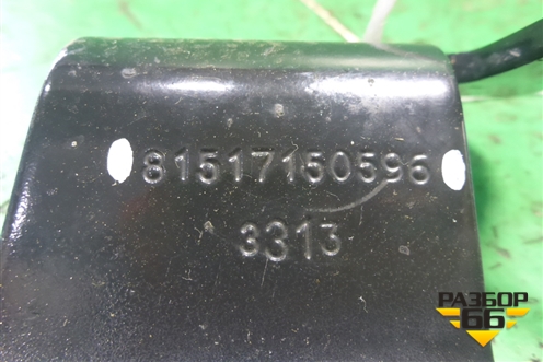 Кронштейн (кузов снаружи)  (крепление крана ABS) (81517150596) для MAN  TGX с 2007г