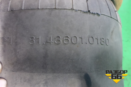 Воздушная подушка (81436010180) для MAN  TGX с 2007г