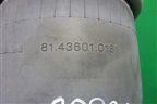 Воздушная подушка (81436010181) для MAN  TGX с 2007г