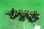 Коленвал ( 1.6л QG16 коренной-49.9 шатунный-39,9) для Nissan Almera Classic с 2006-2013г