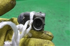 Датчик парковки (0015427418) для Mercedes Benz CLS C219 с 2004-2010г