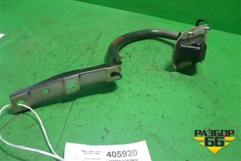 Петля крышки багажника левая (41627189257) для BMW 7 серия F01/F02 с 2008г
